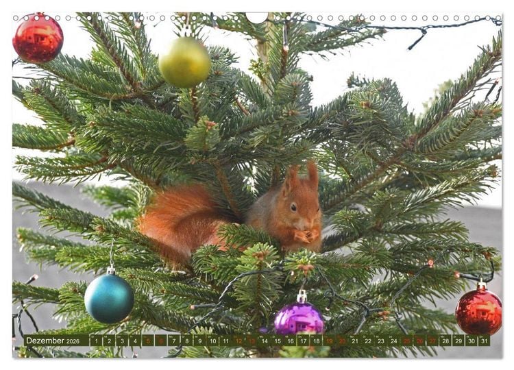 Produktbild: Neuer Spa&szlig; mit Eichh&ouml;rnchen-Kindern (Wandkalender 2026 DIN A3 quer), CALVENDO Monatskalender