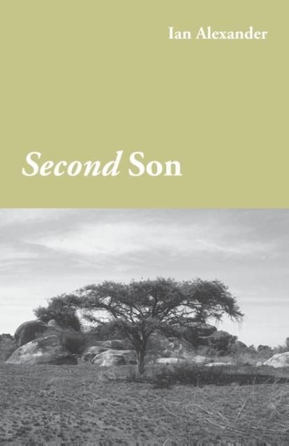 Produktbild: Second Son