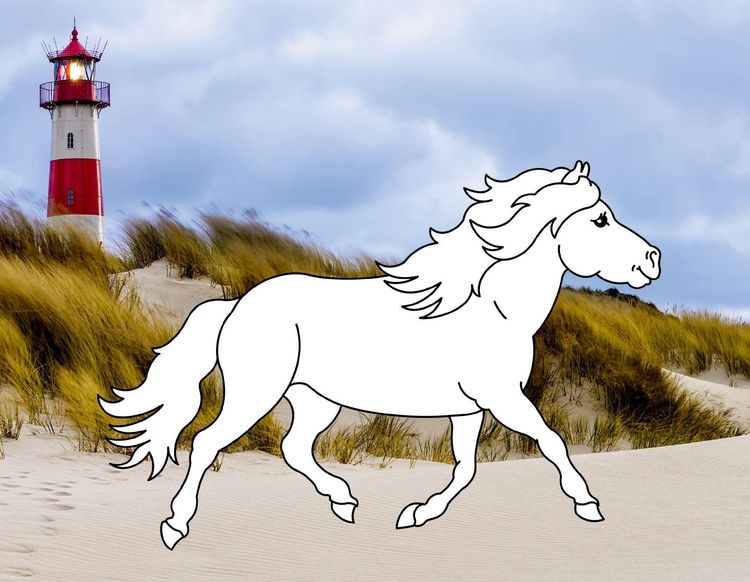 Produktbild: Traumpferde-Malbuch: Strand & Meer - Pferdefreunde