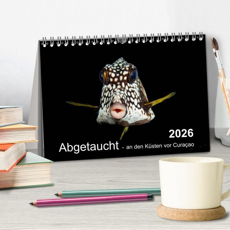 Produktbild: Abgetaucht - an den K&uuml;sten vor Cura&ccedil;ao (Tischkalender 2026 DIN A5 quer), CALVENDO Monatskalender
