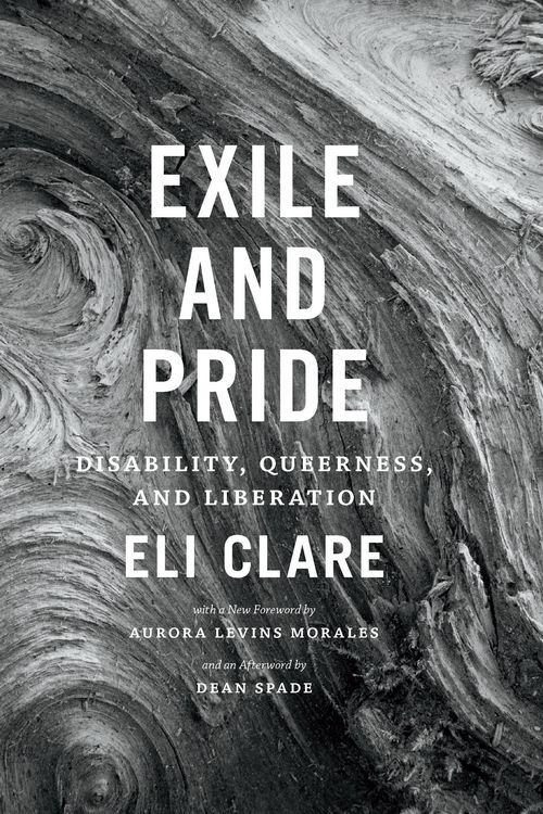 Produktbild: Exile and Pride