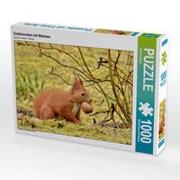 Produktbild: CALVENDO Puzzle Eichh&ouml;rnchen mit Walnuss 1000 Teile Lege-Gr&ouml;&szlig;e 64 x 48 cm Foto-Puzzle Bild von Ren&eacute; Schaack