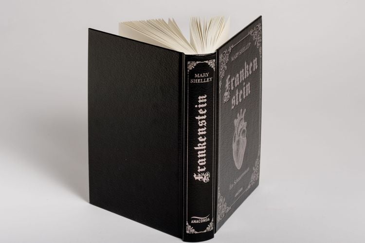 Mary Shelley, Frankenstein. Ein Schauerroman