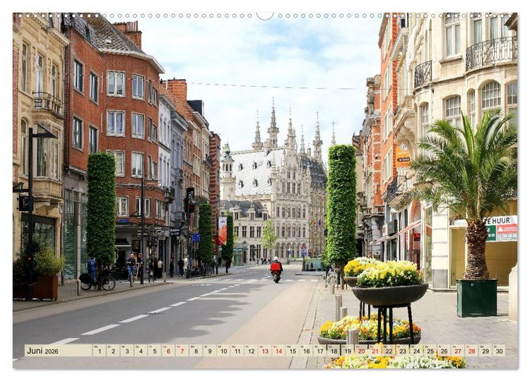 Produktbild: Bezauberndes L&ouml;wen in Belgien (Wandkalender 2026 DIN A2 quer), CALVENDO Monatskalender