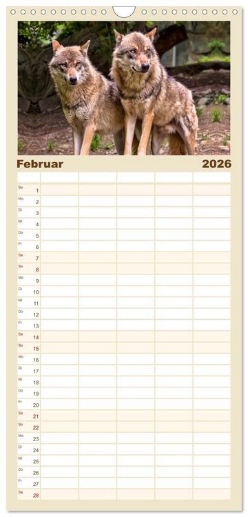 Produktbild: Familienplaner 2026 - W&ouml;lfe - sie sind wieder da mit 5 Spalten (Wandkalender, 21 x 45 cm) CALVENDO