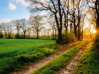Produktbild: CALVENDO Puzzle Sonnenaufgang in Ockenhausen | 1000 Teile Lege-Gr&ouml;&szlig;e 64x48cm Foto-Puzzle f&uuml;r gl&uuml;ckliche Stunden