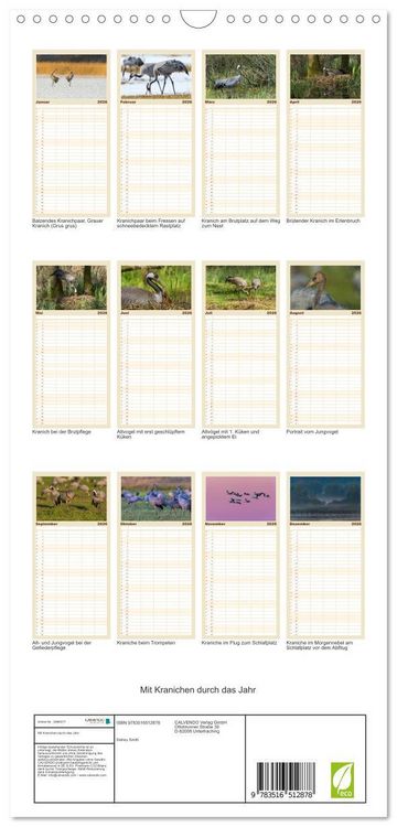 Produktbild: Familienplaner 2026 - Mit Kranichen durch das Jahr mit 5 Spalten (Wandkalender, 21 x 45 cm) CALVENDO