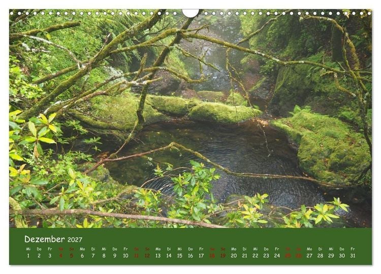 Produktbild: Levadawandern auf Madeira (Wandkalender 2027 DIN A3 quer), CALVENDO Monatskalender