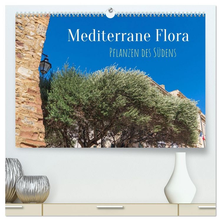 Produktbild: Mediterrane Flora - Pflanzen des S&uuml;dens (hochwertiger Premium Wandkalender 2026 DIN A2 quer), Kunstdruck in Hochglanz