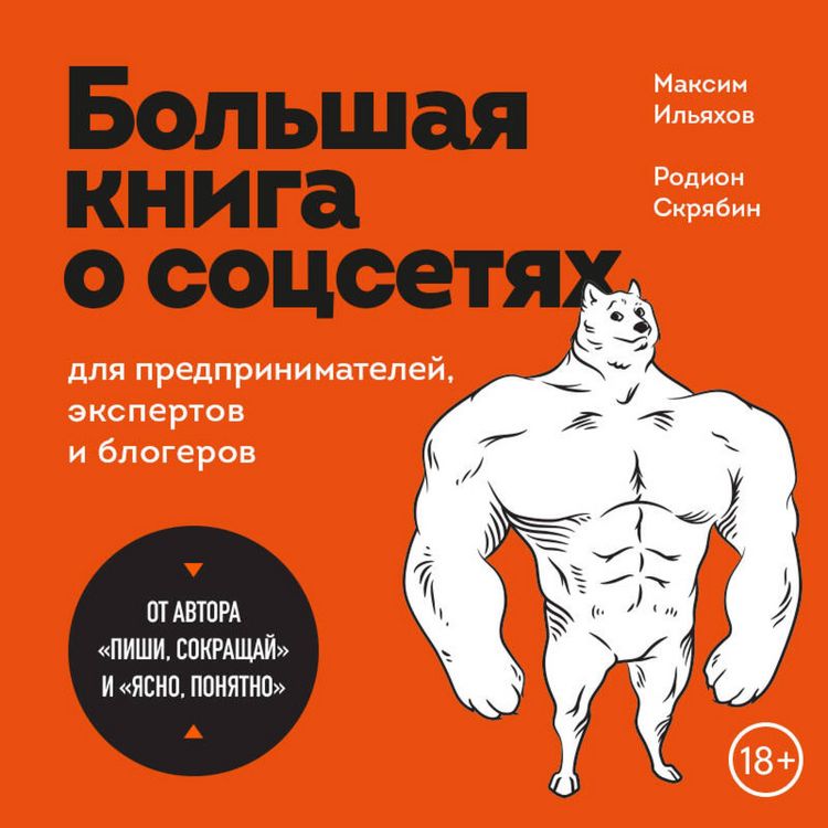 Produktbild: Bolshaya kniga o sotssetyah dlya predprinimateley, ekspertov i blogerov