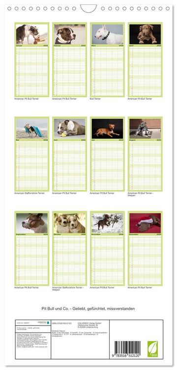 Produktbild: Familienplaner 2026 - Pit Bull und Co. - Geliebt, gef&uuml;rchtet, missverstanden mit 5 Spalten (Wandkalender, 21 x 45 cm) CALVENDO
