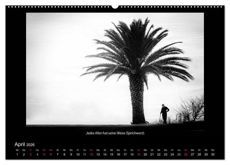 Produktbild: Schwarz-Weis(s)heiten (Wandkalender 2026 DIN A2 quer), CALVENDO Monatskalender