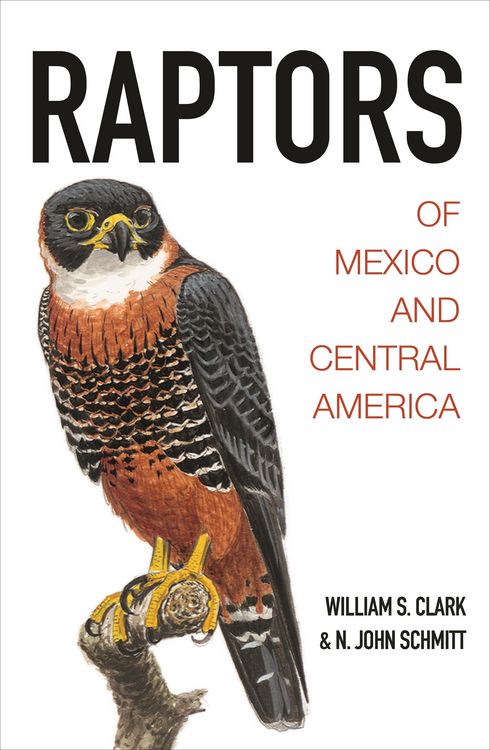 Produktbild: Raptors of Mexico and Central America