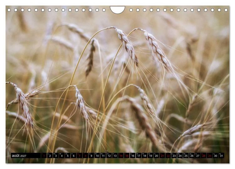 Produktbild: Paysages du Qu&eacute;bec (Calendrier mural 2027 DIN A4 vertical), CALVENDO calendrier mensuel