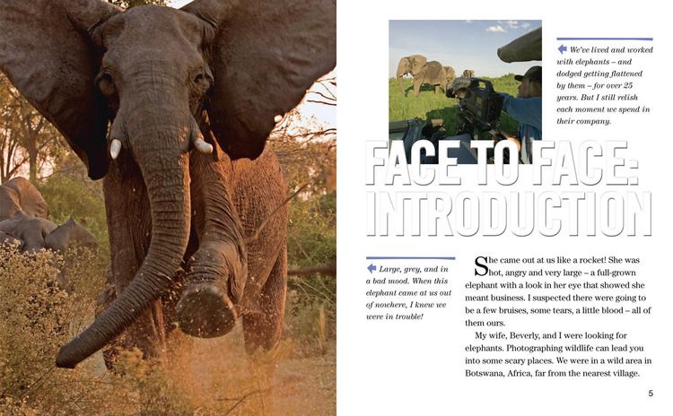 Produktbild: Face to Face with Elephants