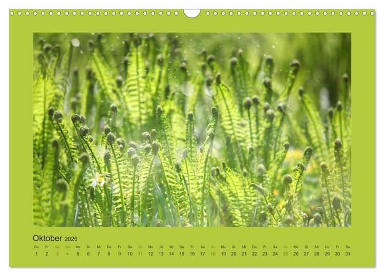 Produktbild: 12 Farben (Wandkalender 2026 DIN A3 quer), CALVENDO Monatskalender