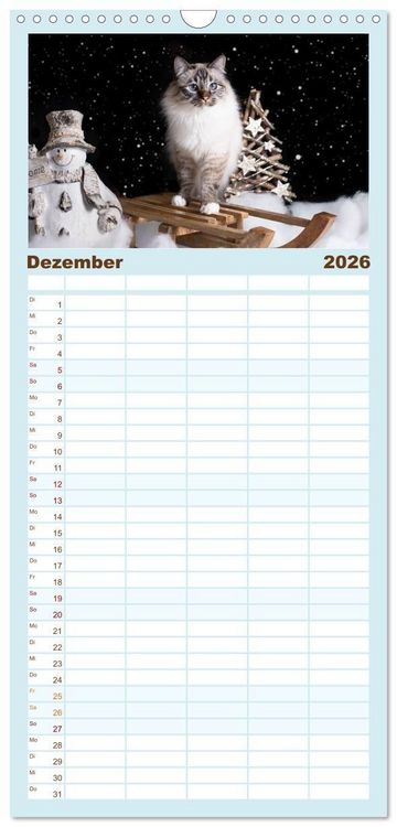Produktbild: Familienplaner 2026 - Heilige Birma Katzen - Eine Rasse mit traumhaft blauen Augen. mit 5 Spalten (Wandkalender, 21 x 45 cm) CALVENDO
