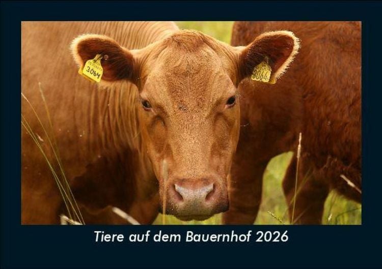 Produktbild: Tiere auf dem Bauernhof 2026 Fotokalender DIN A5