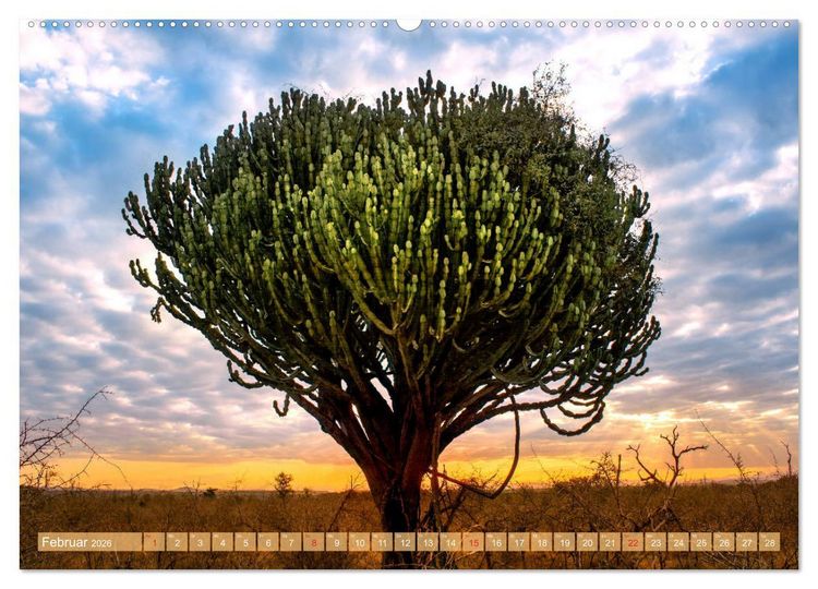 Produktbild: Eswatini - K&ouml;nigreich im s&uuml;dlichen Afrika (Wandkalender 2026 DIN A2 quer), CALVENDO Monatskalender
