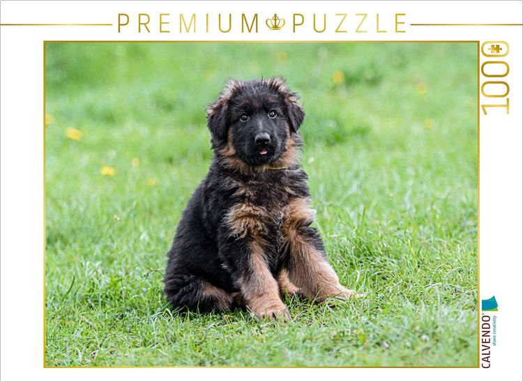 Produktbild: CALVENDO Puzzle Sch&auml;ferhund - Welpe Langstockhaar | 1000 Teile Lege-Gr&ouml;&szlig;e 64x48cm Foto-Puzzle f&uuml;r gl&uuml;ckliche Stunden