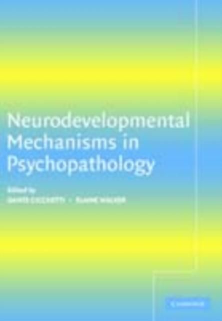 Produktbild: Neurodevelopmental Mechanisms in Psychopathology