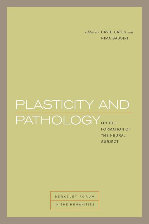 Produktbild: Plasticity and Pathology
