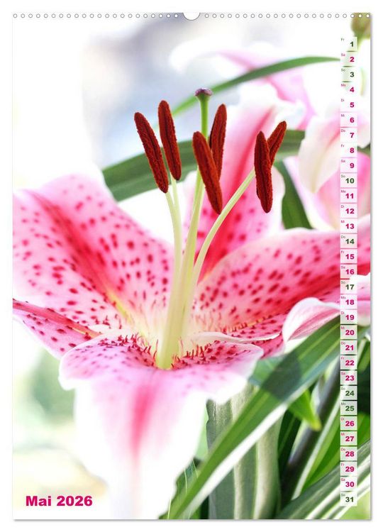 Produktbild: Lilien-Eleganz (hochwertiger Premium Wandkalender 2026 DIN A2 hoch), Kunstdruck in Hochglanz
