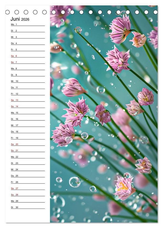 Produktbild: Kr&auml;uterfrische (Tischkalender 2026 DIN A5 hoch), CALVENDO Monatskalender