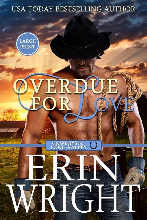 Produktbild: Overdue for Love