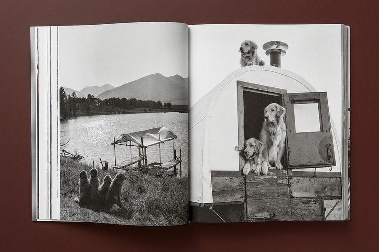 Produktbild: Bruce Weber