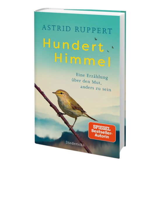 Produktbild: Hundert Himmel