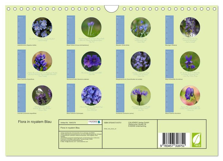 Produktbild: Flora in royalem Blau (Wandkalender 2026 DIN A4 quer), CALVENDO Monatskalender