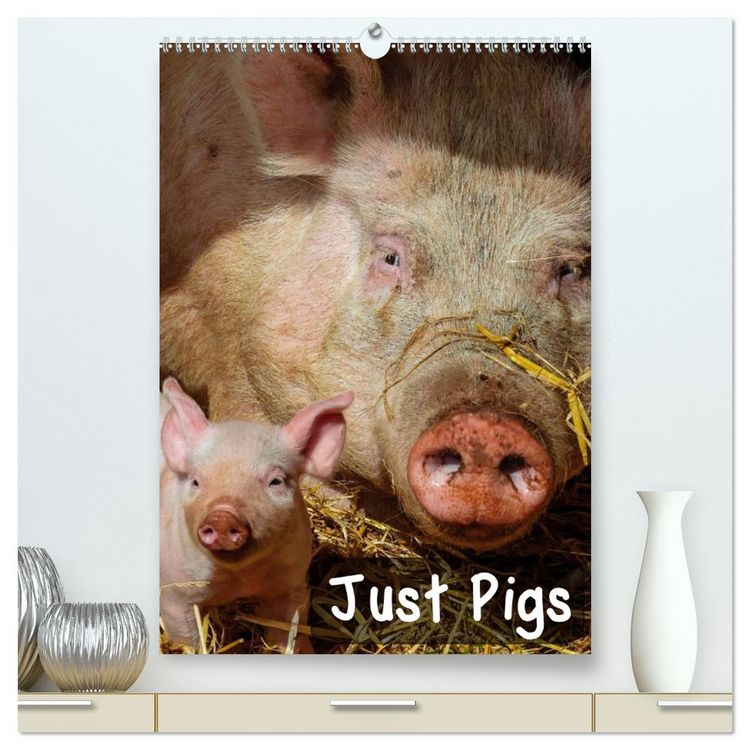 Produktbild: Just Pigs (High Quality Premium Wall Calendar 2026 DIN A2 portrait),CALVENDO 12 Month Wall Calendar