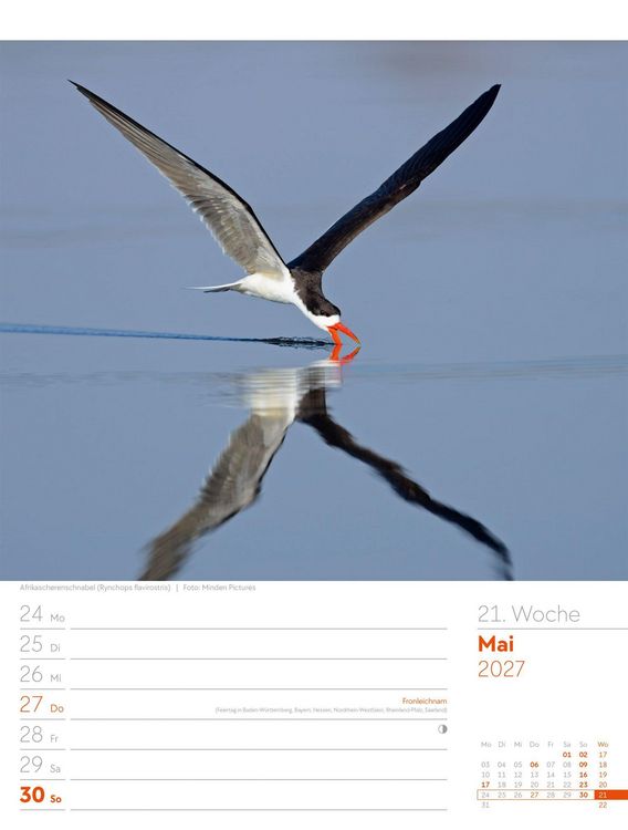 Produktbild: V&ouml;gel Wochenplaner Kalender 2027