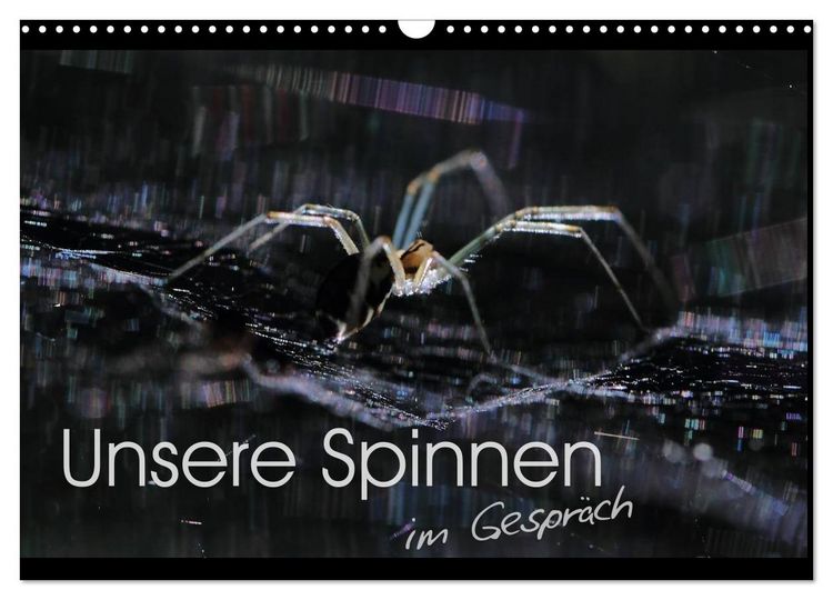 Produktbild: Unsere Spinnen - im Gespr&auml;ch (Wandkalender 2026 DIN A3 quer), CALVENDO Monatskalender
