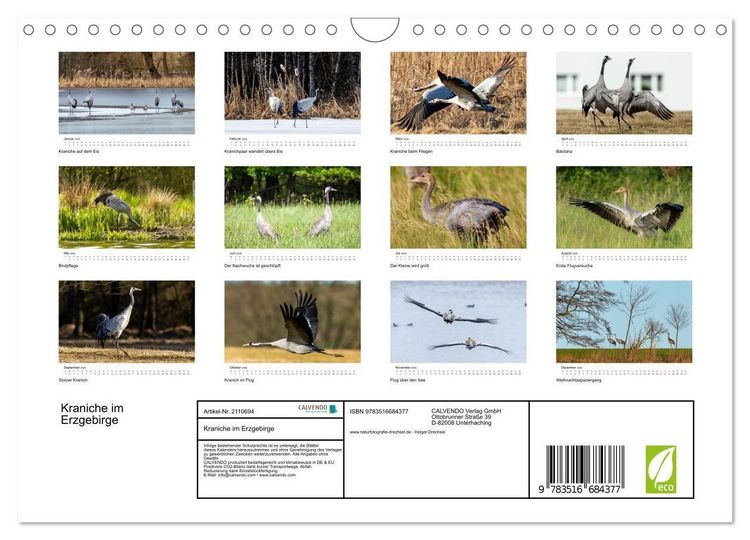 Produktbild: Kraniche im Erzgebirge (Wandkalender 2026 DIN A4 quer), CALVENDO Monatskalender
