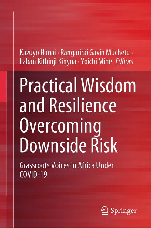 Produktbild: Practical Wisdom and Resilience Overcoming Downside Risk