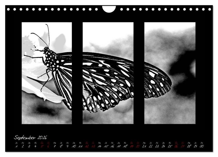 Produktbild: Die Kunst der Natur - Dreifach Stilvoll (Wandkalender 2026 DIN A4 quer), CALVENDO Monatskalender