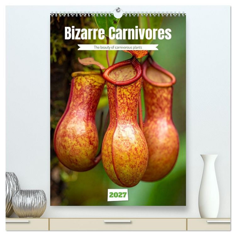 Produktbild: Bizarre Carnivores (High Quality Premium Wall Calendar 2027 DIN A2 portrait),CALVENDO 12 Month Wall Calendar