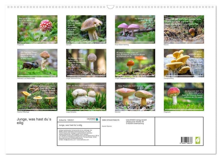 Produktbild: Junge, was hast du`s eilig (Wandkalender 2026 DIN A2 quer), CALVENDO Monatskalender