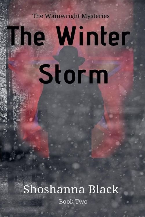 Produktbild: The Winter Storm