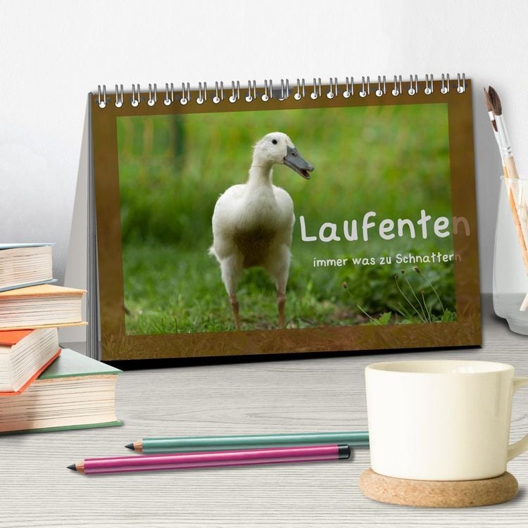 Produktbild: Laufenten immer was zu Schnattern (Tischkalender 2026 DIN A5 quer), CALVENDO Monatskalender