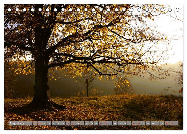 Produktbild: Wundersch&ouml;ne schw&auml;bische Alb (Tischkalender 2026 DIN A5 quer), CALVENDO Monatskalender