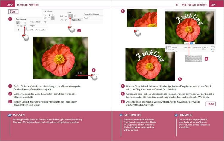Produktbild: Photoshop Elements 2026 - Bild f&uuml;r Bild erkl&auml;rt