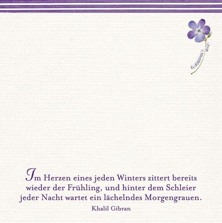 Produktbild: Zettelk&auml;stchen - Zauberhaft notiert!