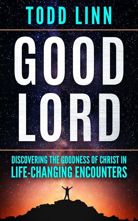 Produktbild: Good Lord: Discovering The Goodness Of Christ In Life-Changing Encounters
