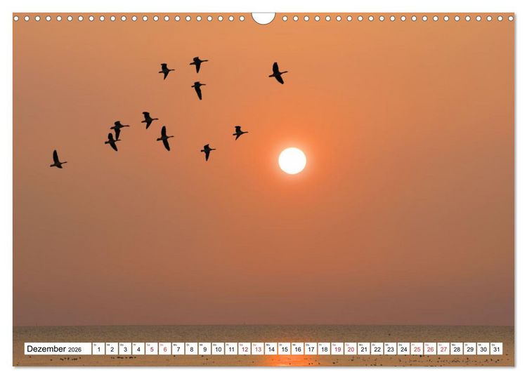 Produktbild: GREETSIEL - Schafe - Krabbenkutter - M&ouml;wen (Wandkalender 2026 DIN A3 quer), CALVENDO Monatskalender