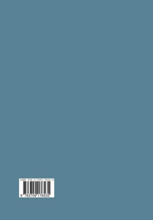 Produktbild: Recent Developments in High-Energy Physics