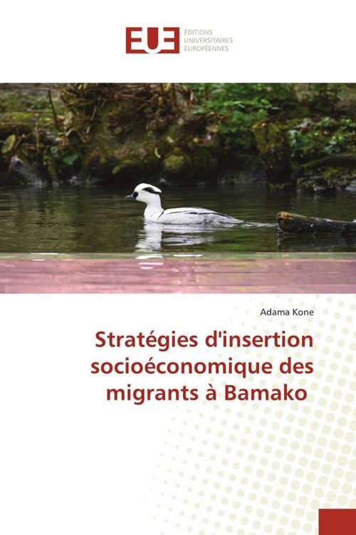 Produktbild: Strat&eacute;gies d'insertion socio&eacute;conomique des migrants &agrave; Bamako