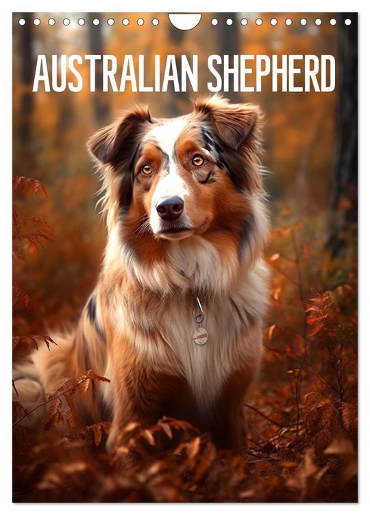 Produktbild: Australian Shepherd (Wandkalender 2026 DIN A4 hoch), CALVENDO Monatskalender